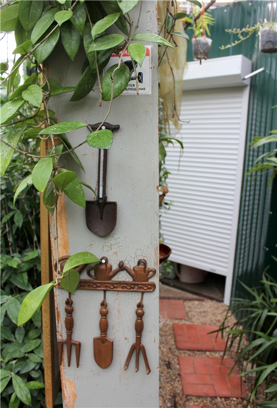 Тверской Ботанический Сад, продолжение | Бэйбики Тверской Ботанический Сад, продолжение (фото 9)