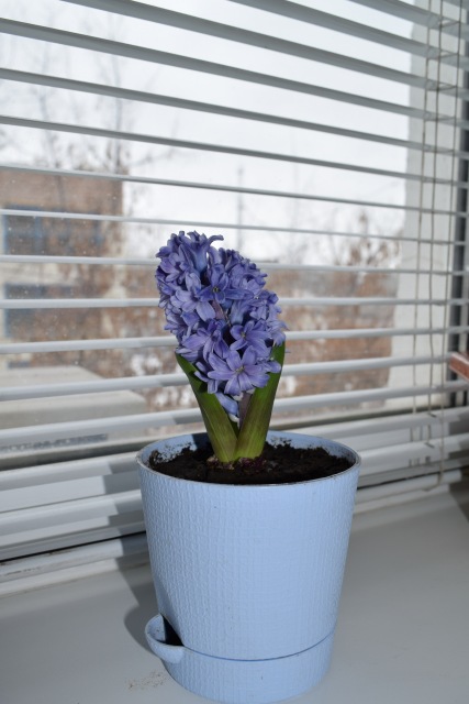 Тедди-долл. Девочка-весна (фото 3)