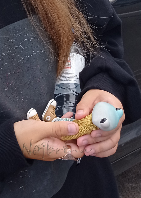 Большое путешествие Кензо. Арктика. Северный полюс (фото 3)