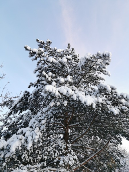 На позитиве — Интересные игрушки и фигурки (разное): редкие