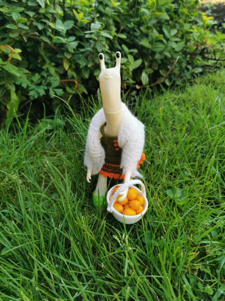 Лягушка Ванда и все-все-все (фото 6)