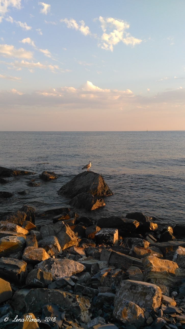 Kidz' тур. Юлино лето — Куклы Kidz'n'Cats (Соня Хартман): шарнирные 46 см