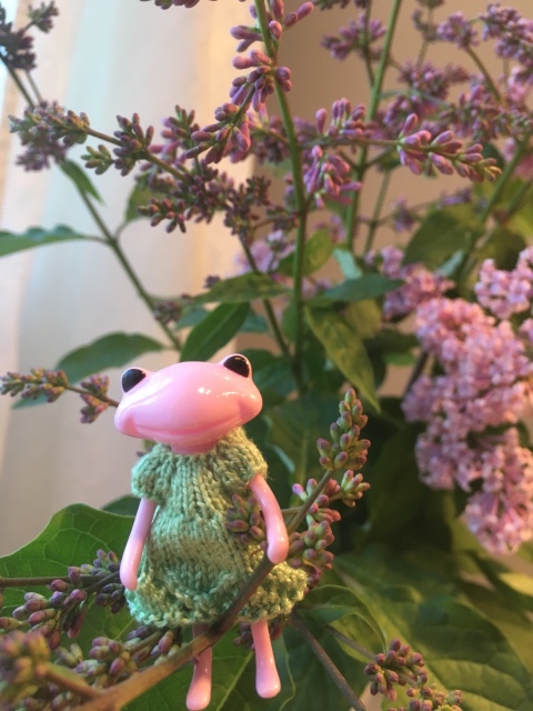 Wonder frog - Tasha Apple от компании Studio uoo (фото 10)