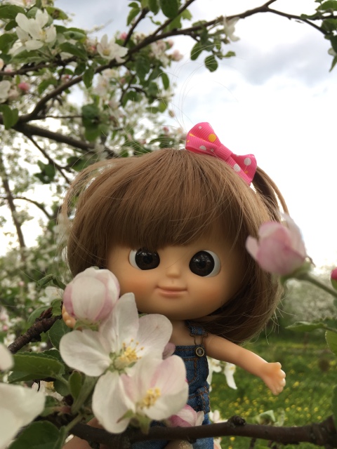 Поездка на дачу с Mui-chan, Migliorati и Sonny angel