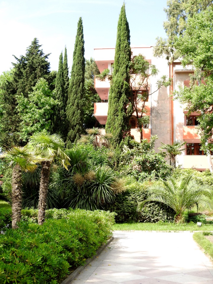 Краснодарский Край, Сочи-Адлер, Санаторий «Южное Взморье» (фото 6)