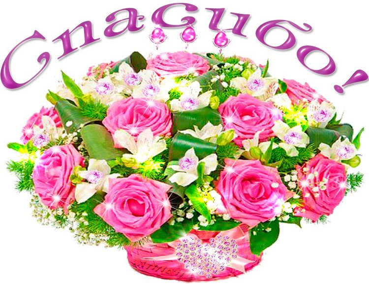 Мои куклы Kidz'n'Cats. Валентина (Мирель) 2017 (фото 2)