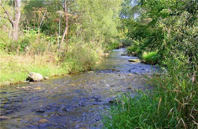 Старицкая Швейцария. Путешествие с Сашей, продолжение. Уникальная кукла от Сильвии Наттерер