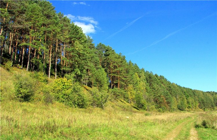 Старицкая Швейцария. Старицкие пещеры, д. Толпино, заключительная часть