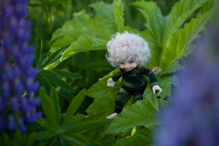 Эльфики в Гвоздёво | Бэйбики Эльфики в Гвоздёво — Куклы Fairyland (ФэйриЛэнд): BJD (БЖД) (фото 3)