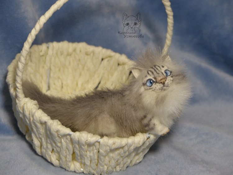 Котята Невские маскарадные, окрас Тэбби пойнт (фото 10)