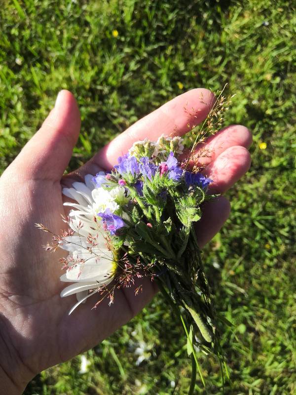 Просто Анте — Куклы Fairyland (ФэйриЛэнд): BJD (БЖД)