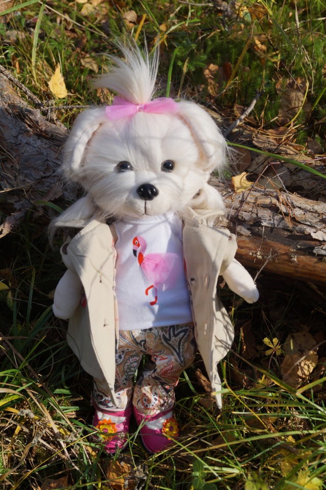 Хотите прогуляться по нашему городу? А за город - по экологической тропе