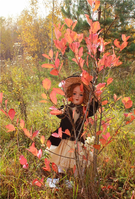 Кейт - Девочка Осень — Антикварные куклы Armand Marseille (AM): молд 390