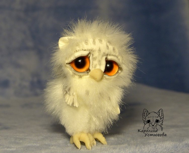 Совята в ожидании Новогодних праздников