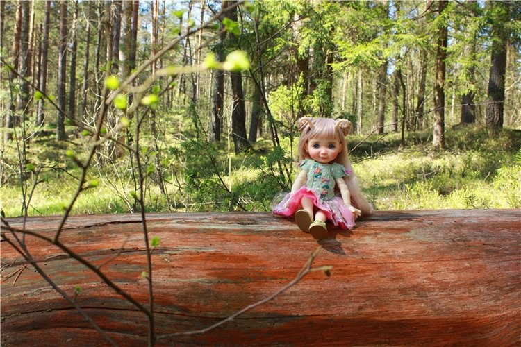 Весенняя Фея. Kyrra Fair Meadow doll | Бэйбики Весенняя Фея. Kyrra Fair Meadow doll