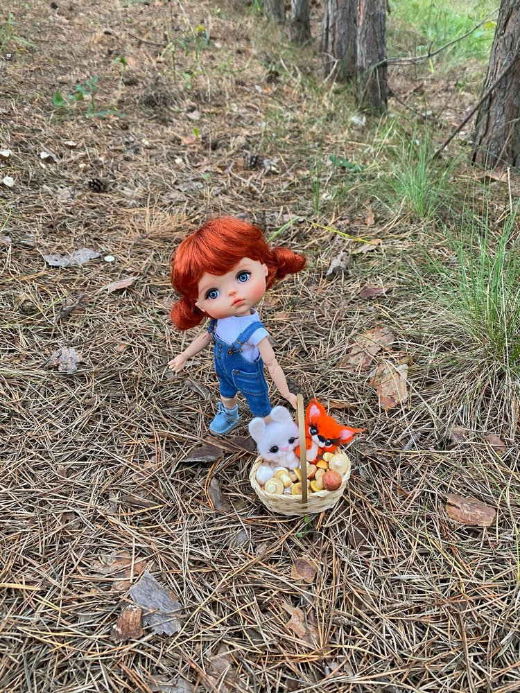 Как Варя ходила за грибами. Fabbi Chibbi Meadow dolls | Бэйбики Как Варя ходила за грибами. Fabbi Chibbi Meadow dolls