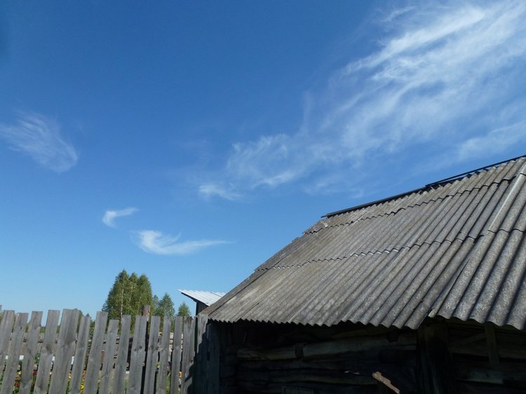 Отдых в деревне с Джой — Туризм и путешествия: фотоотчеты из поездок (фото 5)