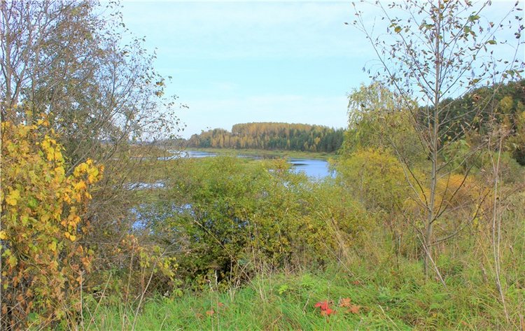 Путешествие Имани на Волгу, продолжение. Mini Imani от Kaye Wiggs