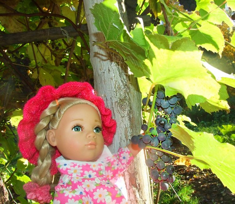 Линка и Иришка - сборщицы винограда | Бэйбики Линка и Иришка - сборщицы винограда