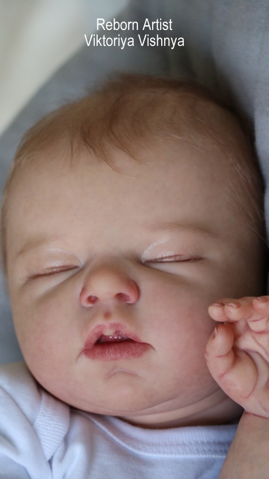 Ноашечка... куколка реборн Виктории Вишни
