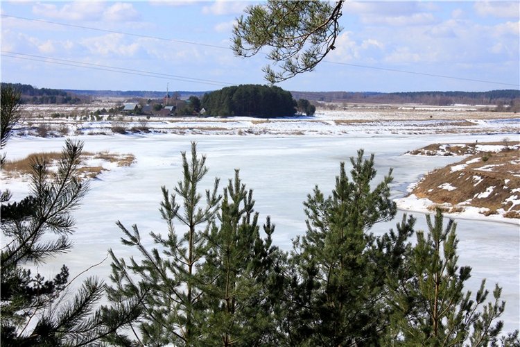 Весна в "Саду Камней" | Бэйбики Весна в "Саду Камней" — Куклы Meadow dolls (Медовушки): BJD (БЖД) (фото 5)