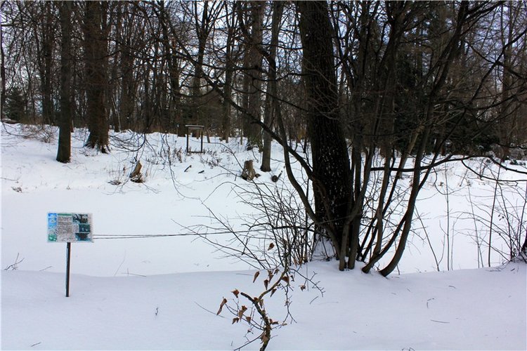 Тверской Ботанический Сад, заключительная часть