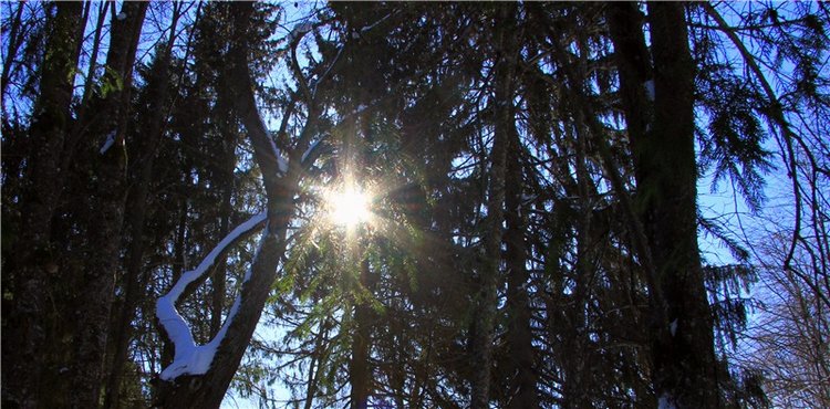 Снежный Март — Туризм и путешествия: фотоотчеты из поездок