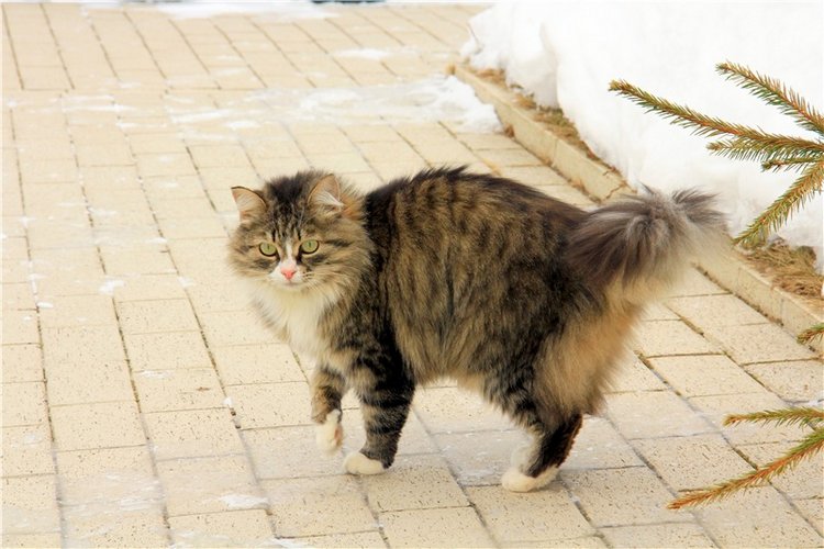 Снежный Март — Туризм и путешествия: фотоотчеты из поездок