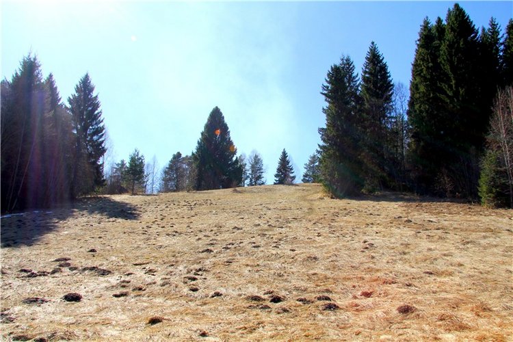 Апрельский день в Василёво, третья часть