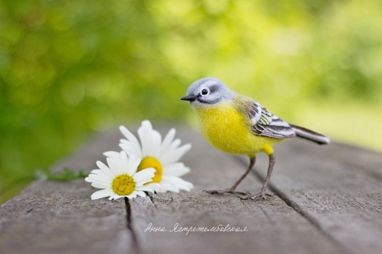 Жёлтая трясогузка — Валяные игрушки из шерсти: сухое валяние (фото 4)