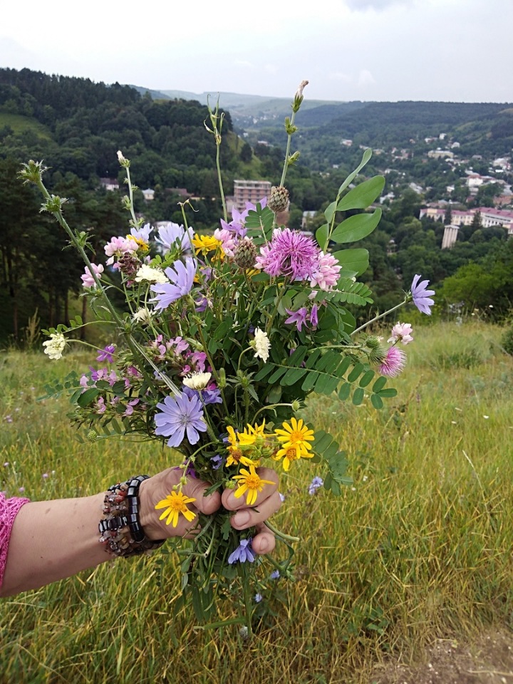 Возвращение Хелены в Кисловодск: опять за своё