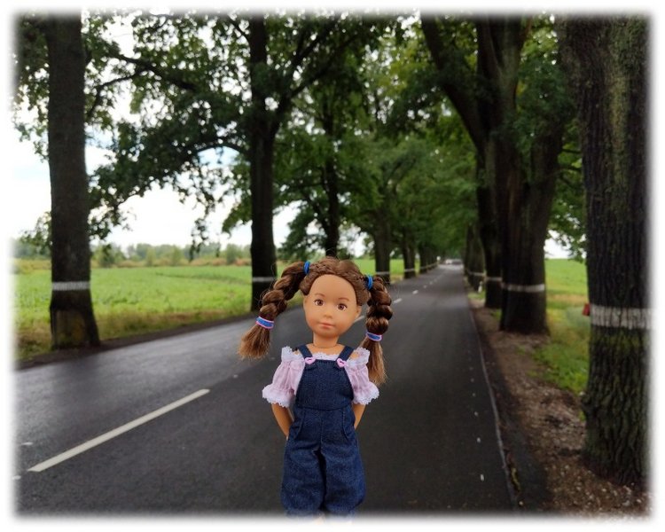 Путешествие с куклой. #2 — Куклы Kathe Kruse (Кате/Кэте Крузе): фото (фото 5)