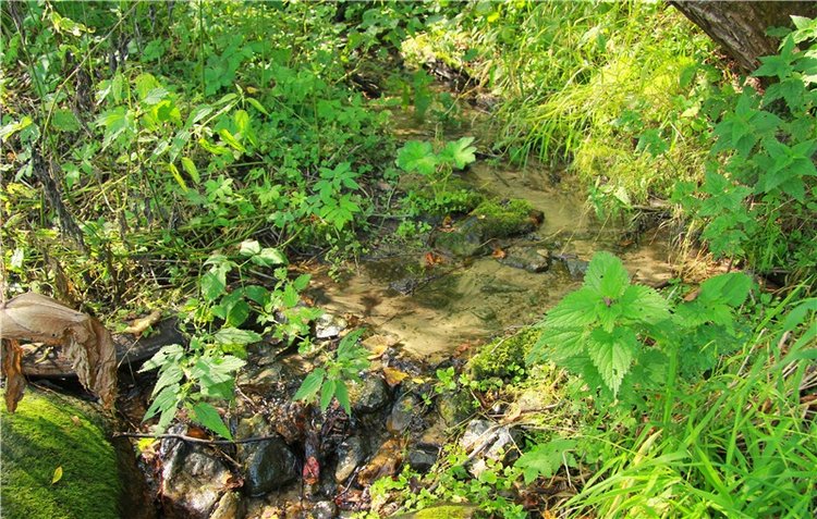 Старицкая Швейцария. Путешествие с Сашей, продолжение. Уникальная кукла от Сильвии Наттерер