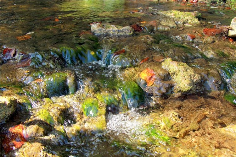 Старицкая Швейцария. Путешествие Мии. Minifee Miyu FairlyLand | Бэйбики Старицкая Швейцария. Путешествие Мии. Minifee Miyu FairlyLand