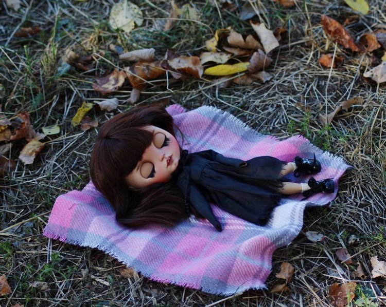 Кот и его девочка. Blythe tbl (фото 7)