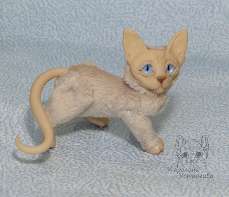 Два миниатюрных котика Сфинкса