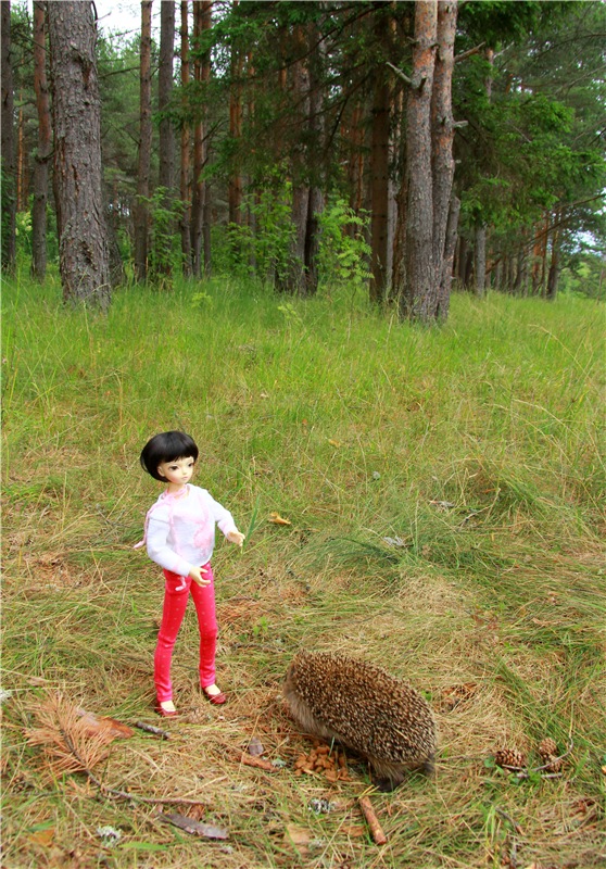 Девочка и Ёжик. Minifee Miyu FairlyLand | Бэйбики Девочка и Ёжик. Minifee Miyu FairlyLand