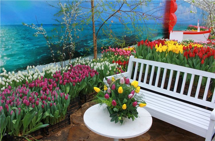 Тюльпановый Рай, продолжение. Выставка тюльпанов в Твери. Mini Layla elf Sunkissed skin от Kaye Wiggs