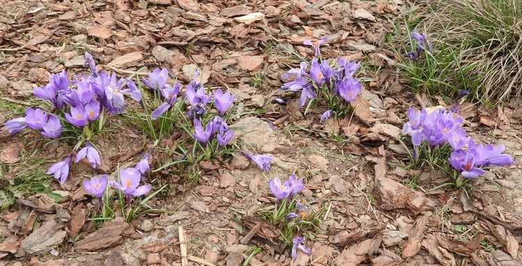 Москва, медвежата, зайчата, куклята на Тишинке 2019 | Бэйбики Москва, медвежата, зайчата, куклята на Тишинке 2019