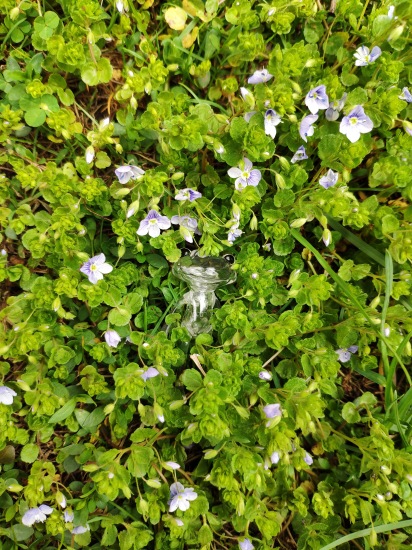 Найди меня, если сможешь — Фигурки Studio