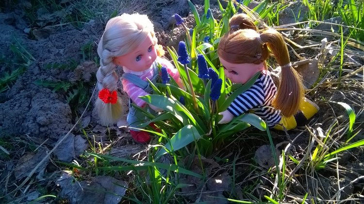 Галинка с Полинкой во саду ли в огороде