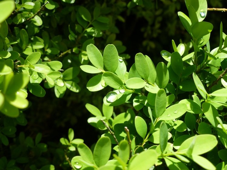 Сочи-Адлер: Южное Взморье - виртуальное путешествие по территории санатория