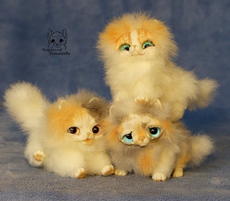 Три котенка Джейн, Пирожок и Апельсинчик (фото 5)