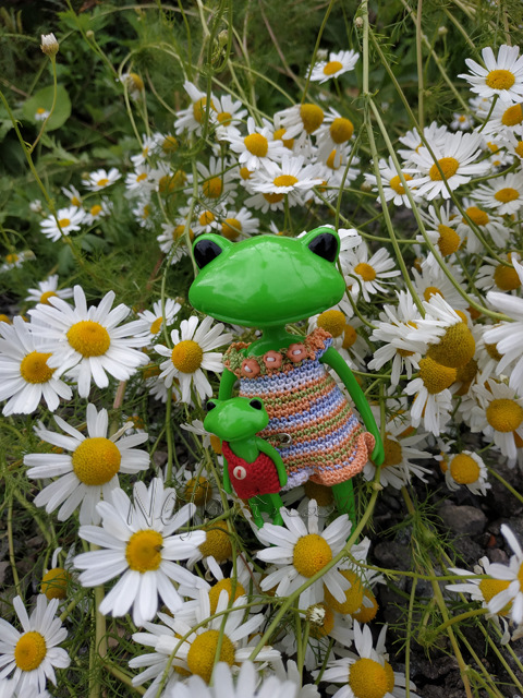 Wonderfrog. Красота в простоте