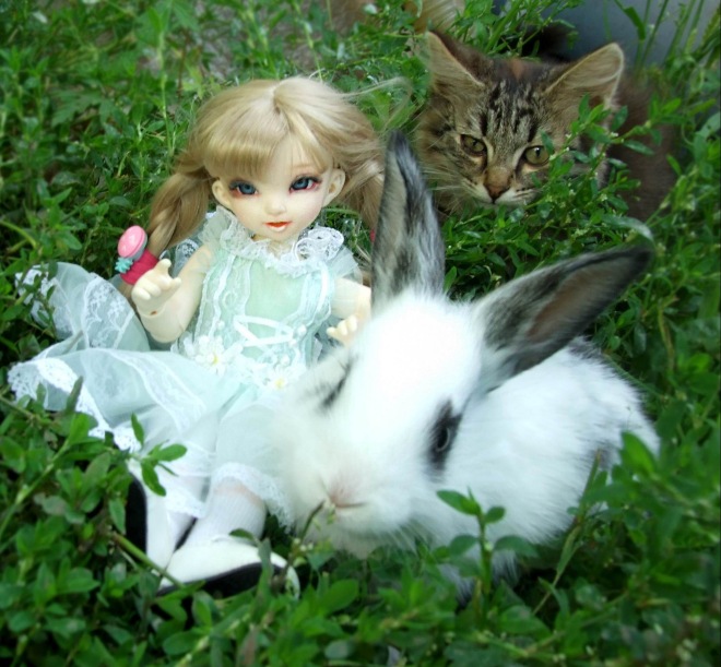 Кролики превращаются... превращаются... А котик улыбается) (фото 5)