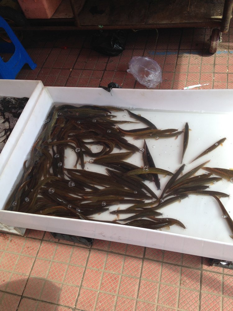 Курица не птица, Китай не заграница. Много фото, небольшая экскурсия