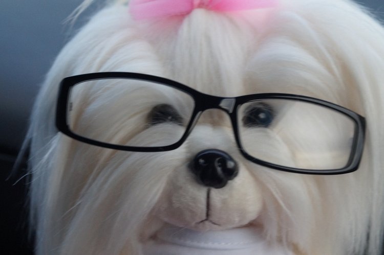 На какие подвиги толкают нас куклохотелки