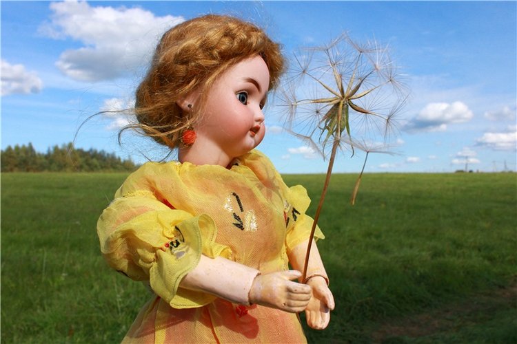 Странница во времени — Антикварные куклы Simon & Halbig (S&H): Симон Хальбиг