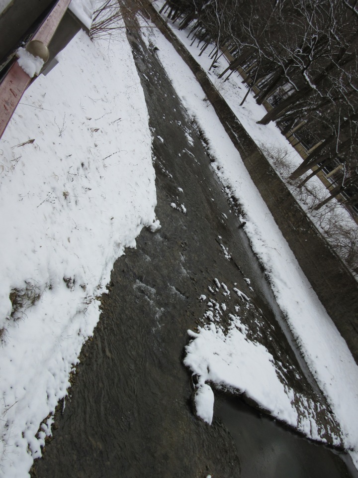 Кисловодские приключения. Шо, опять