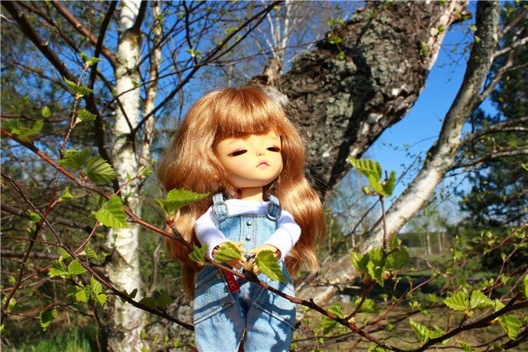 Прогулка Софи. Lati HoneyBee New Mystic Sophie | Бэйбики Прогулка Софи. Lati HoneyBee New Mystic Sophie (фото 3)